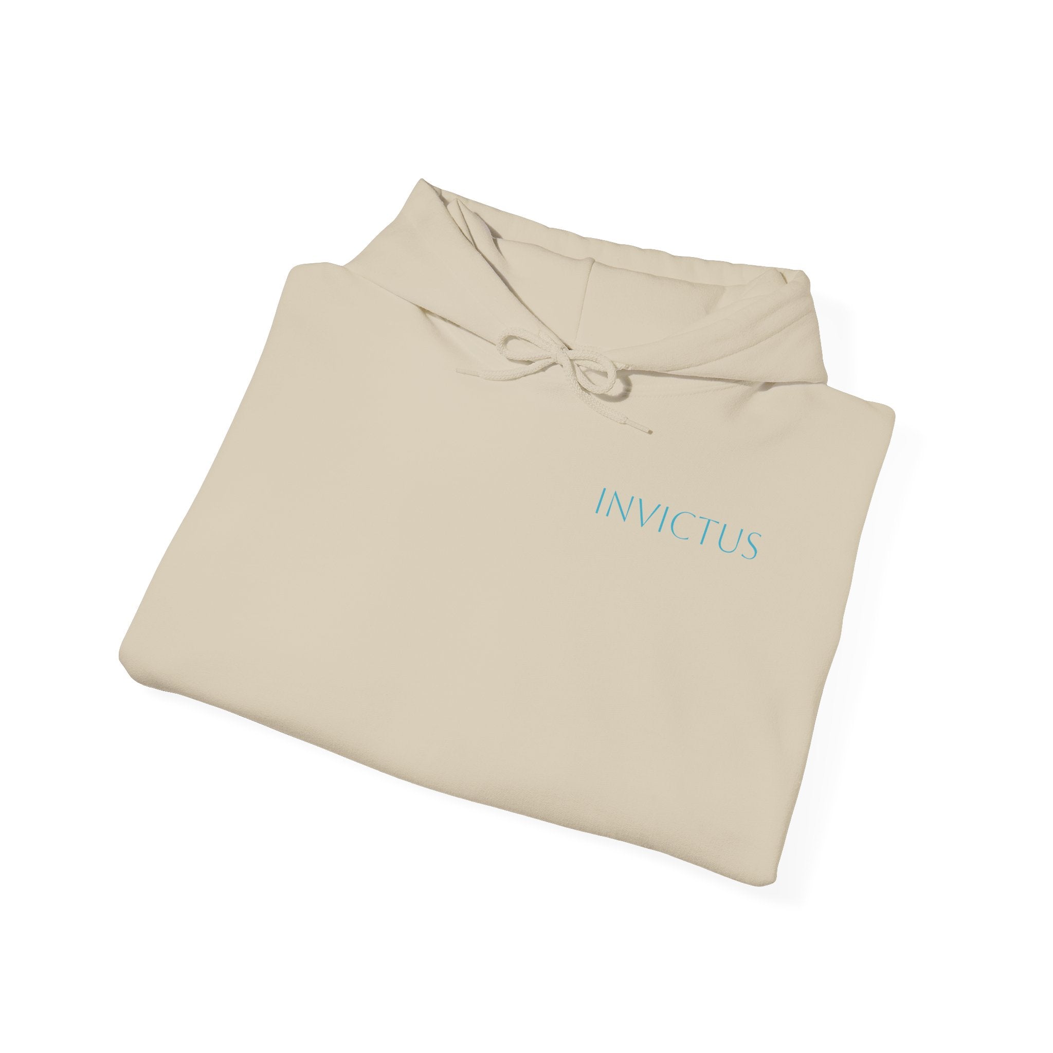 Hoodie — "Child of God" Psalm 23 White Inspirational Graphic Hoodie